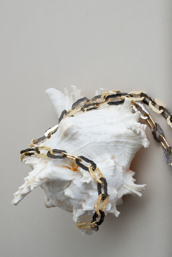 2 RENK ZİNCİR KOLYE 2